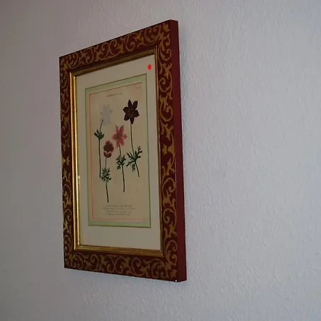 Emmy App 01 A Apartamento *